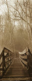 Wooden Bridge  Prints by Steven Mitchell