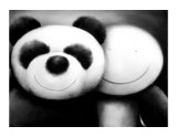 The Terrible Two Limited Edition by Doug Hyde