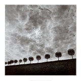 Ten and a Half Trees, Peterhof, Russia, 2000 Posters by Michael Kenna