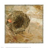 Nest Red Leaf Affiches par Susan Friedman