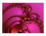 Copper on Pink Photographic Print by Vicky Brago-Mitchell