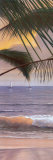 Paradiso Panel I  Prints by Diane Romanello