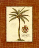 Kokospalme Kunstdrucke von Georg Dionysius Ehret