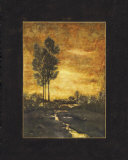 Luminous Brook  Poster by Tina Chaden