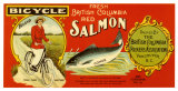 British Columbia Red Salmon Kunstdruck