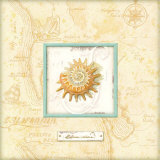 Sea Treasure III  Prints by Charlene Audrey