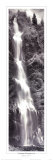 Wasserfallkaskaden Poster von Mike Jones