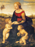 Madonna La Bella Giardiniera Affiche par Raffaello Sanzio