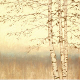 Birch Silhouette II  Prints by James Wiens