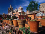 Pots of Cacti, San Miguel De Allende, Guanajuato, Mexico Photographic Print by John Neubauer