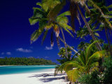Beach with Palm Trees on Island in Aitutaki Lagoon,Aitutaki,Southern Group, Cook Islands Photographic Print by Dallas Stribley