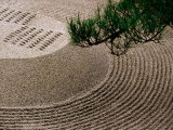 Raked Gravel Zen Garden at Eikando Temple, Kyoto, Japan Photographic Print by Frank Carter