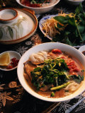 Bowl of Beef with Rice Noodles., Vietnam Photographic Print by Greg Elms