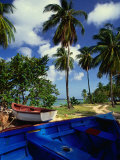 Wooden Fishing Boats Among Palm Trees, Pigeon Point, Trinidad & Tobago Photographic Print by Michael Lawrence