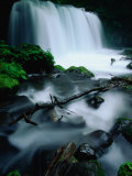 Waterfall and Rocks in Aomori-Ken, Oirase Gorge, Japan Photographic Print by Mason Florence