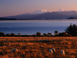 Lake Taupo in Tongariro National Park, New Zealand Photographic Print by David Wall