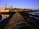 Early Morning on the Pier, St. Andrews, United Kingdom Photographic Print by Jonathan Smith
