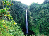 Waterfall in Akaka Falls State Park, United States of America Photographic Print by Chris Mellor