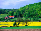 Rape Fields and Forests Surrounding Farm House on Kulla Peninsula, Skane, Sweden Photographic Print by Anders Blomqvist