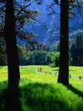 Couples Walk on Paths Through the Spring Fields, Yosemite Valley, California, USA Photographic Print by Thomas Winz