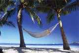 Paradise In The Tropics Photo