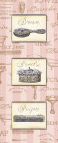 Beaute Feminine Panel II  Poster by Charlene Audrey