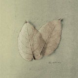 Pair of Skelton Leaves Affiches par Ed Goldstein