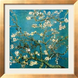 Almond Branches in Bloom, 1890 Posters by Vincent van Gogh