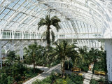 Interior of the Temperate House, Restored in 1982, Kew Gardens, Greater London Photographic Print by Richard Ashworth