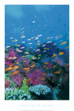 Underwater Village Kunstdrucke von Beverly Factor