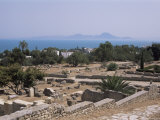 Remains of Roman Villas, Carthage, Unesco World Heritage Site, Tunisia, North Africa, Africa Photographic Print by Nelly Boyd