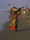 Women Carrying Fish Catch to the Market of Fishing Village, Puri, Orissa State, India Photographic Print by Jeremy Bright