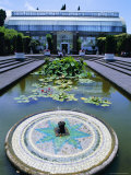 Lily Pond and Fountain, Winter Gardens, Domain Park, Auckland, North Island, New Zealand Photographic Print by Jeremy Bright