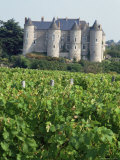Chateau of Luynes, Indre Et Loire, Loire Centre, Loire Valley, France Photographic Print by Michael Busselle