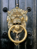 Close-Up of a Lion Door Knocker, South Kensington, London, England, United Kingdom Photographic Print by Brigitte Bott