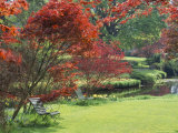 Mount Ushmore Gardens, County Wicklow, Leinster, Republic of Ireland (Eire) Photographic Print by Michael Busselle