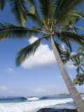 Beach at Kailua-Kona, Island of Hawaii (Big Island), Hawaii, USA Photographic Print by Ethel Davies