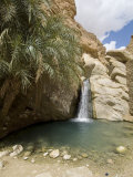 Desert Oasis, Chebika, Tunisia, North Africa, Africa Photographic Print by Ethel Davies