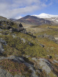 Moss Covered Lava Beds Surround Snaefellsjokull, on the Snaefellsnes Peninsula, Iceland Photographic Print by Neale Clarke