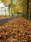 Autumn Leaves and Lone Figure at More Hall Reservoir, South Yorkshire, England Photographic Print by Neale Clarke