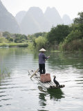 Fisherman with Cormorants, Yangshuo, Li River, Guangxi Province, China Photographic Print by Angelo Cavalli