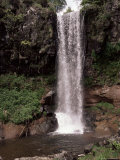 Saut De La Truite Waterfall, South of Plomb Du Cantal, Cantal Mountains, Auvergne, France Photographic Print by Peter Higgins