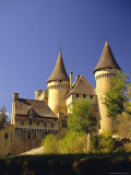 Puymartin Castle, Dordogne, Aquitaine, France Photographic Print by Peter Higgins