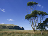 Hickory Bay, Banks Peninsula, Canterbury, South Island, New Zealand Photographic Print by Ken Gillham