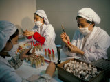 Cosmetics Factory, Guanzhou, Guangdong Province, China Photographic Print by David Lomax