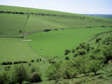 The South Downs Between Lewes and Glynde, East Sussex, England, United Kingdom Photographic Print by Jenny Pate