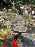 Hampton Court Palace Flower Show 2002, Hampton Court, England, United Kingdom Photographic Print by Jenny Pate