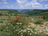 Causse Mejean, Gorges Du Tarn Behind, Lozere, Languedoc-Roussillon, France Photographic Print by David Hughes