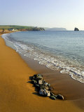Beach, South Milton Sands, South Hams, Devon, England, United Kingdom Photographic Print by David Hughes
