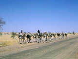 Camel Train Approaching Agades, Niger, Africa Photographic Print by Jack Jackson